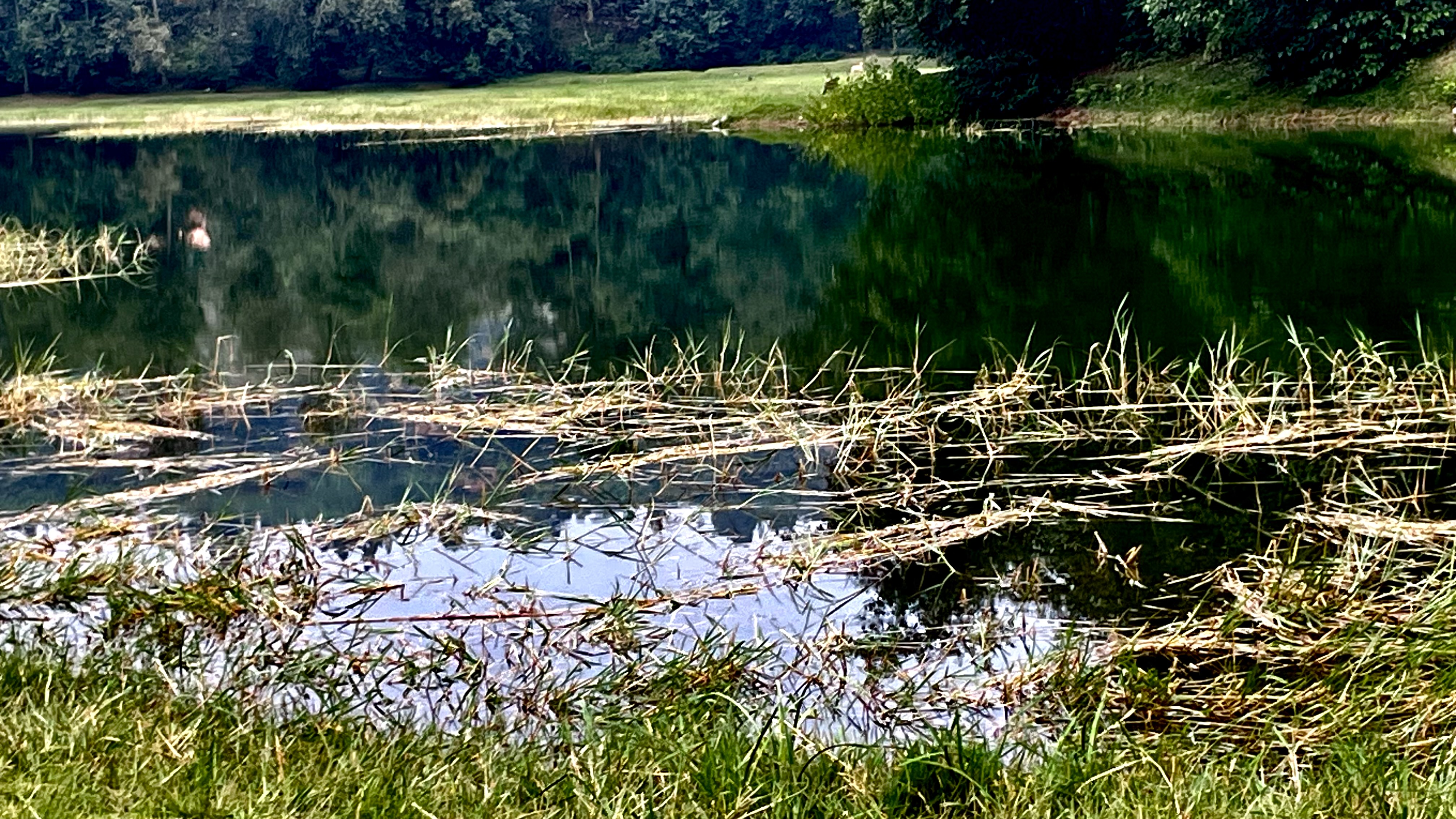 What Happens the Day After a Cleanup?